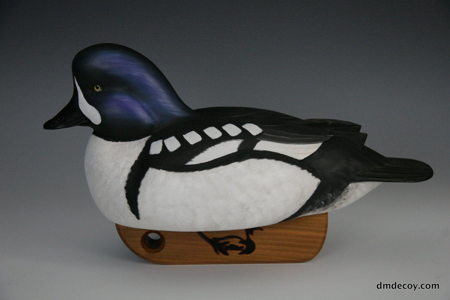 Barrow's Goldeneye decoy