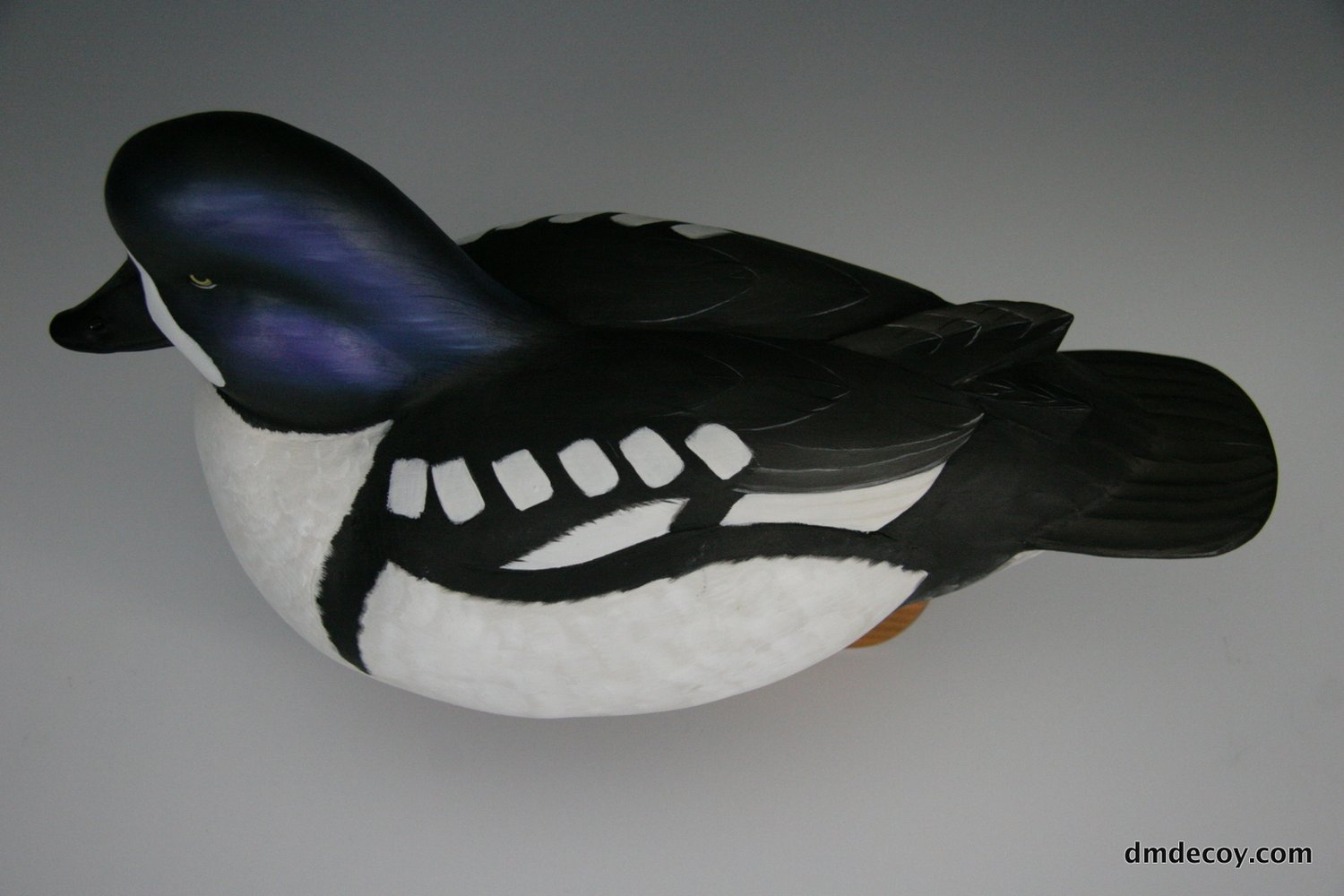 Barrow's Goldeneye decoy