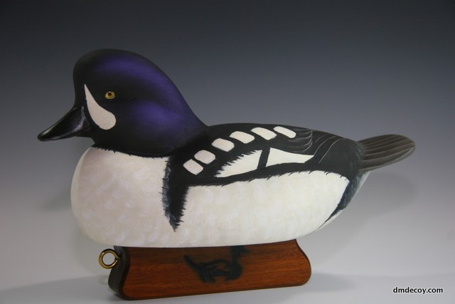 Barrow's Goldeneye, left