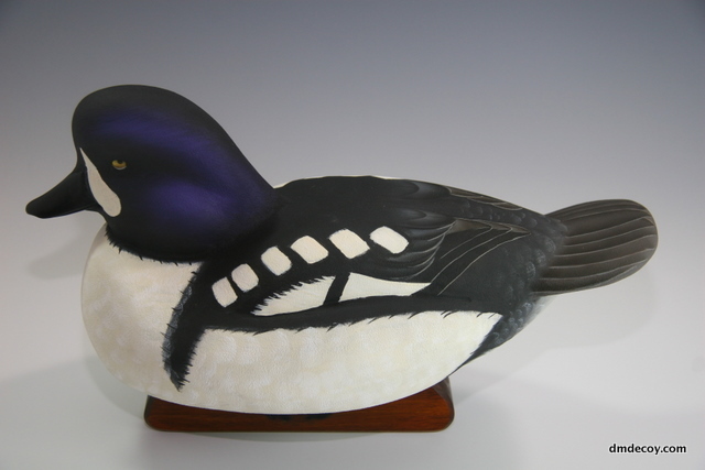Barrow's Goldeneye, top left
