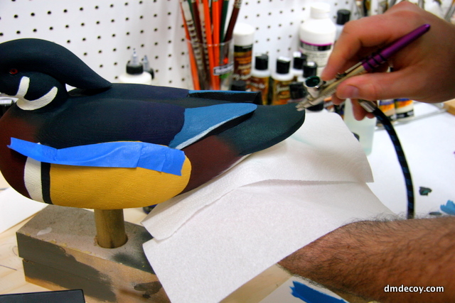Painting the tail and back