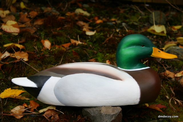 Mallard decoy in oil paint