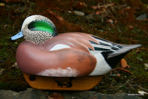 Wigeon decoy in oil paint