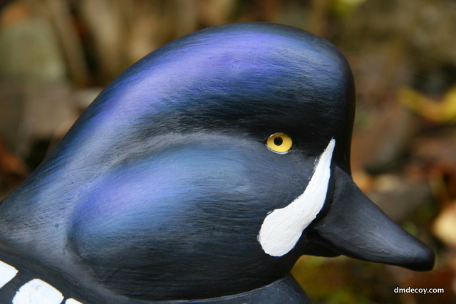 Decoy head portrait
