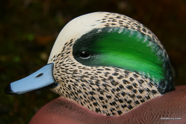 Decoy head portrait