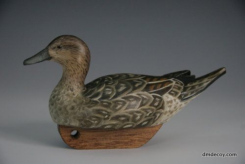 Pintail hen decoy