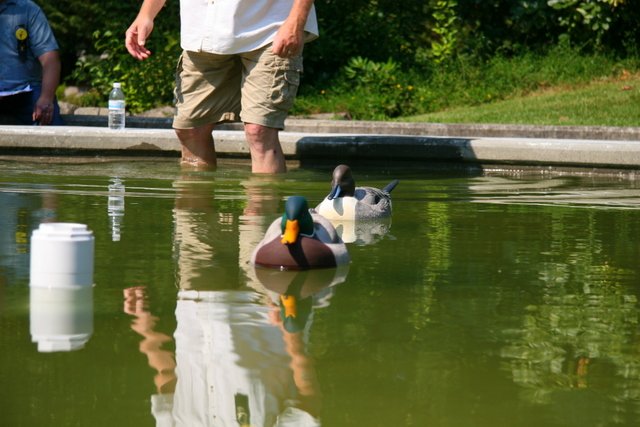 3rd Best of Division at the 2011 Columbia Flyway show