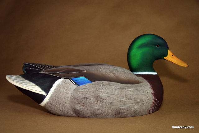 Contemporary style drake mallard