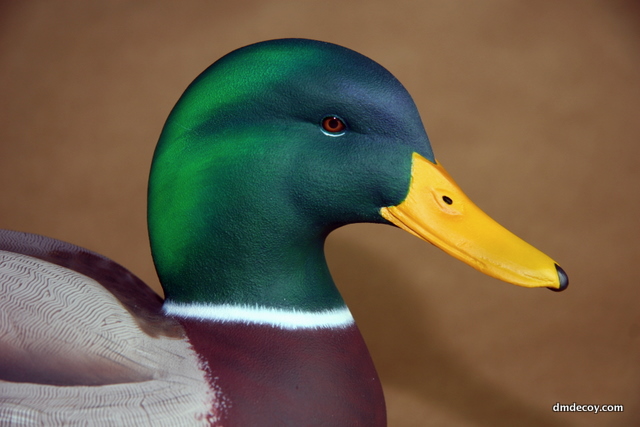 Mallard decoy