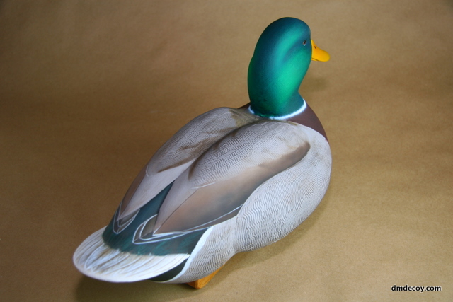 Contemporary drake mallard