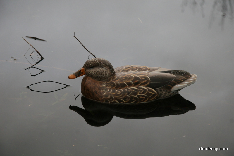 Mallard decoy