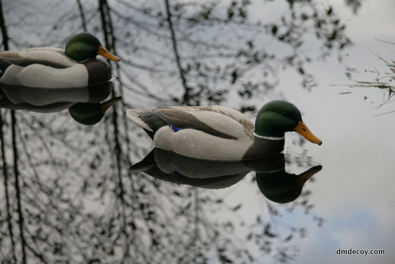 Mallard decoy