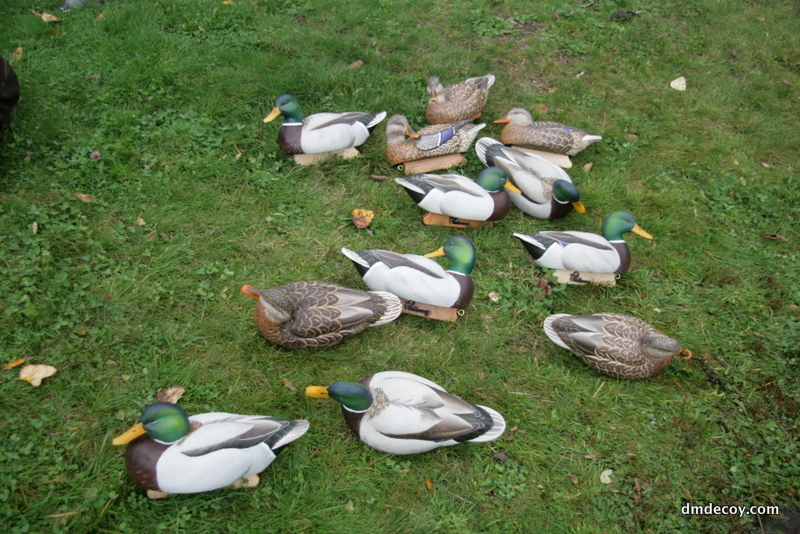 Mallard decoy