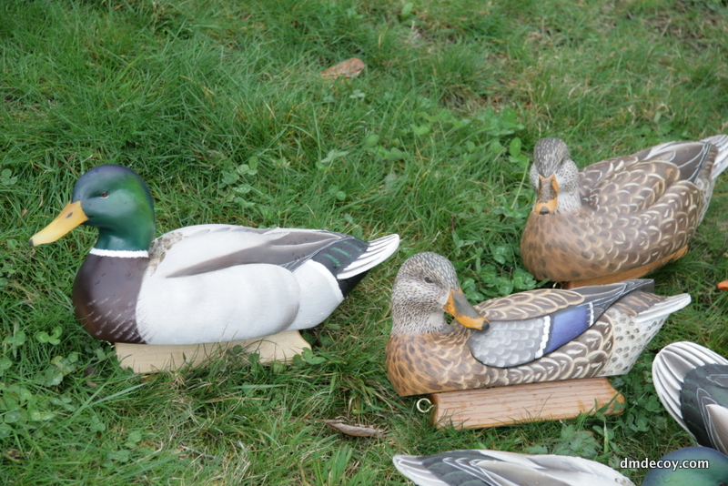 Mallard decoy