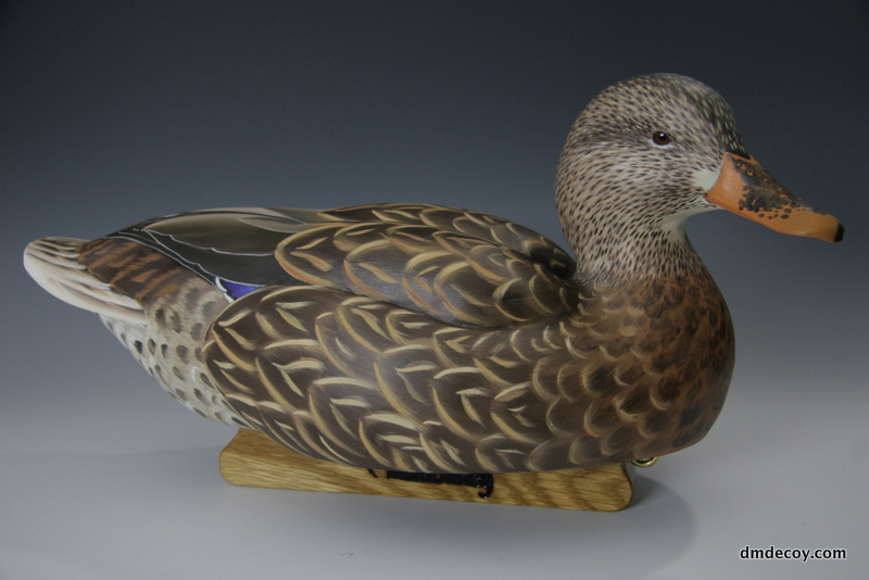 Mallard drake, side profile