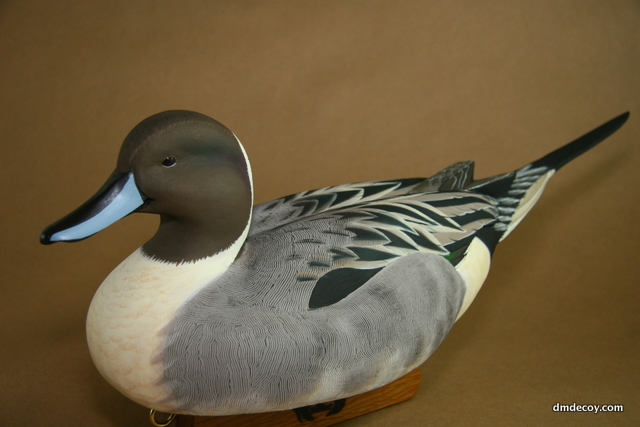 Cedar pintail, left