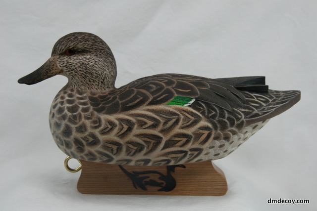 IWCA hen green-winged teal