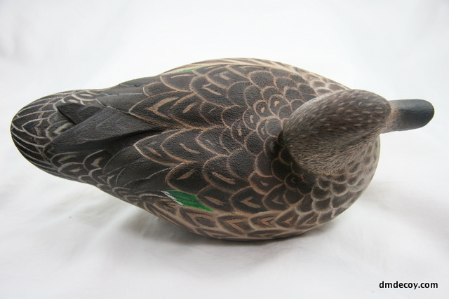 Hen teal, back detail