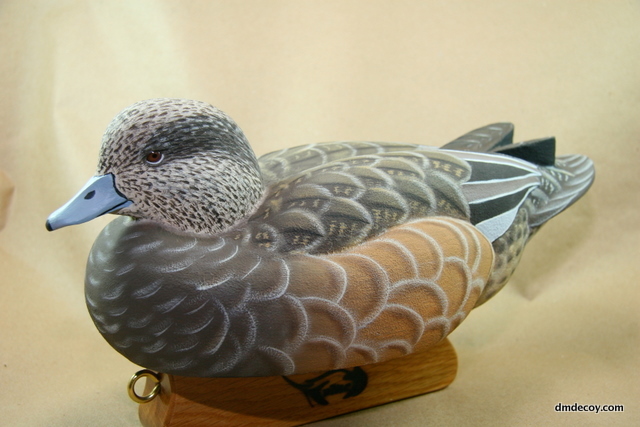 Detailed gunner widgeon hen