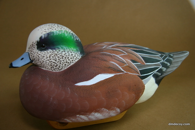 Widgeon decoy
