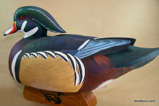 Demo wood duck, left side